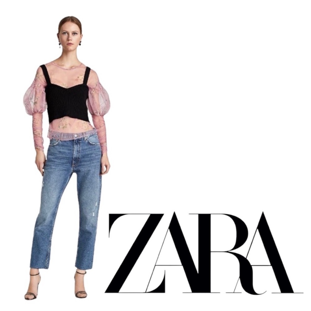 Zara Sheer Floral Puff Juliet Long Sleeve Mesh Peasant Blouse Top Pink Women S